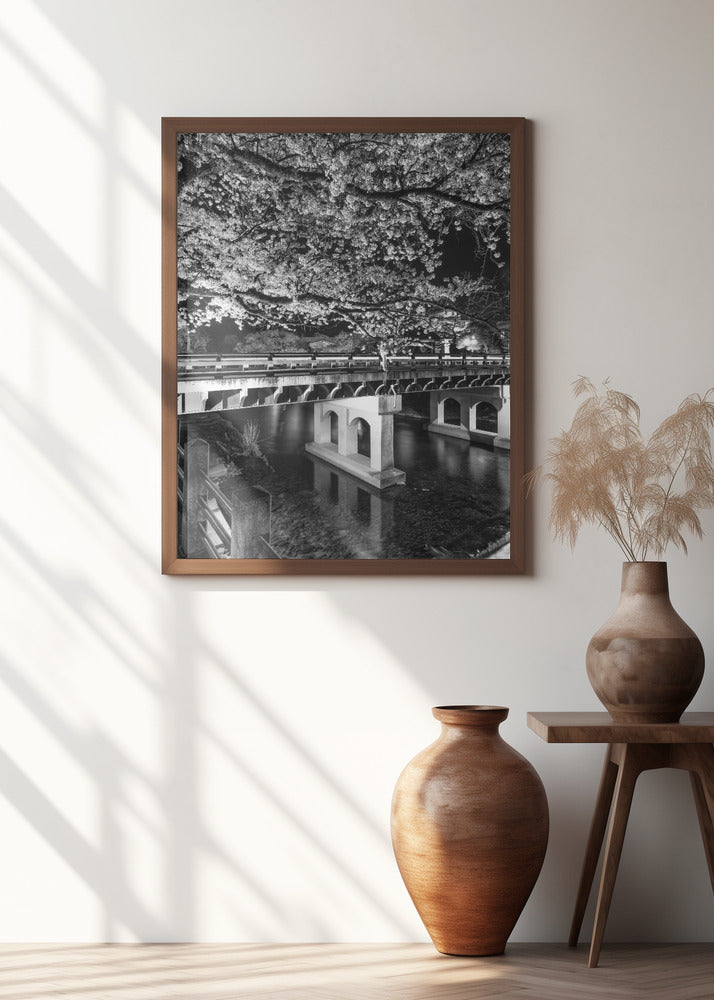 Charming Nakabashi Bridge in the evening - monochrome Poster