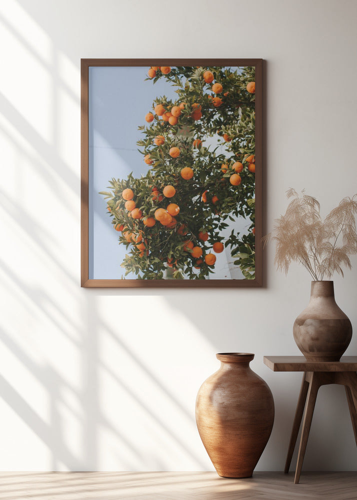 Oranges in Seville Poster