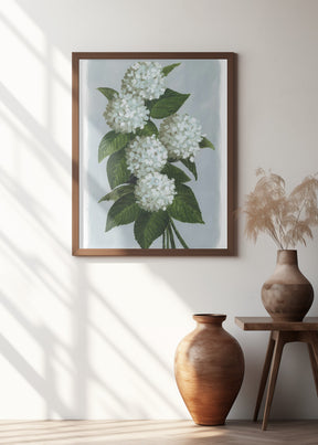 Bluma hydrangea bouquet Poster