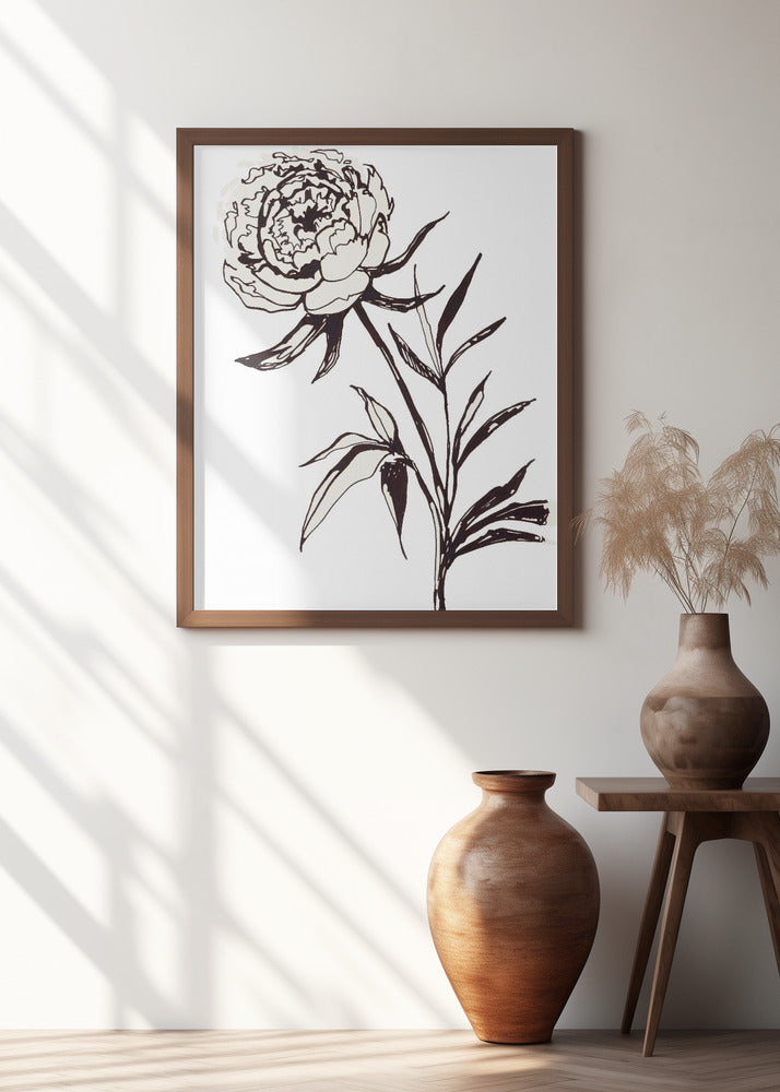 Loose peony ink sketch Poster