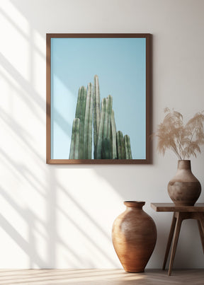 Tall Cacti Poster