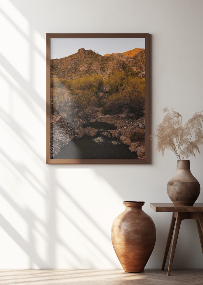 Ventana Canyon Poster