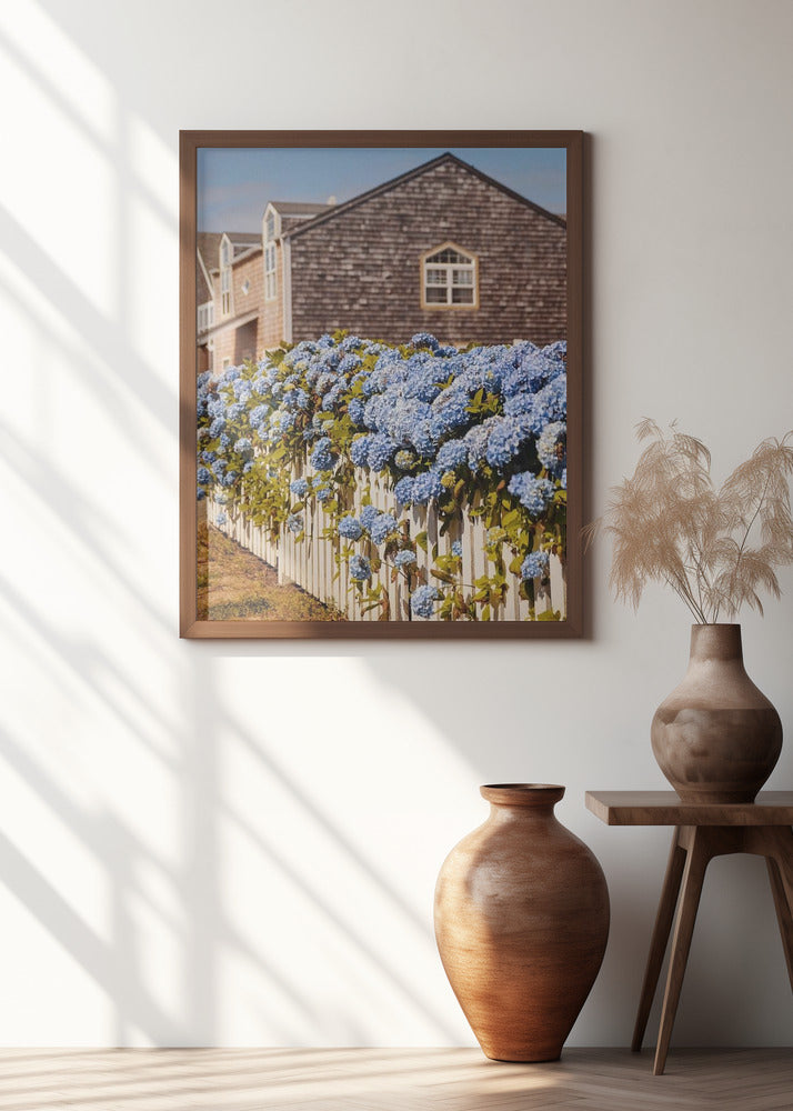 Cannon Beach Hydrangeas Poster