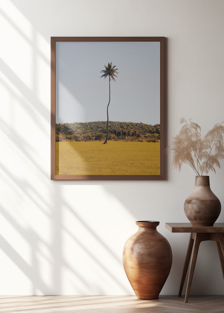 Puerto Rican Palm Tree Poster