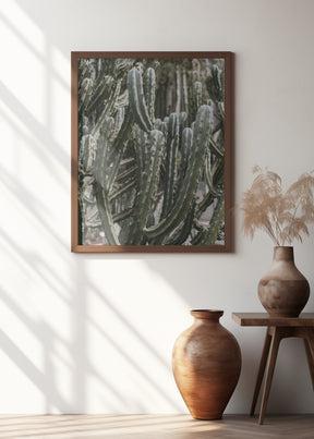 Desert Cactus Poster