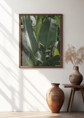 Banana Leaves Poster