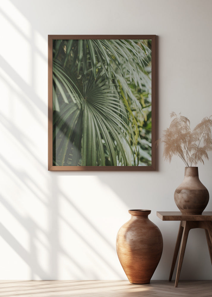 Areca Palm Poster