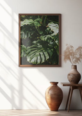 Monstera Leaves Poster