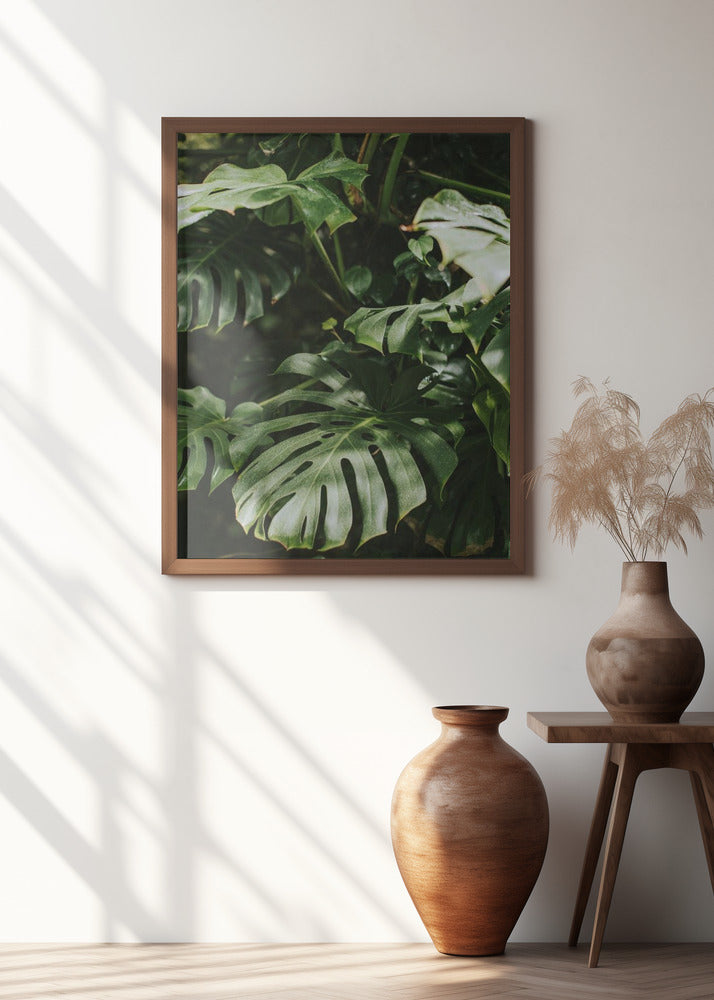 Monstera Leaves Poster