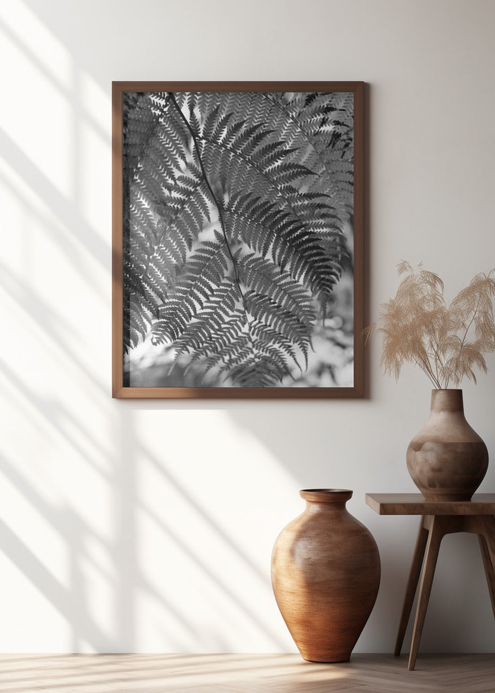 Fern in Black White Poster