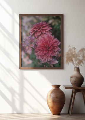 Dark Pink Dhalias Poster