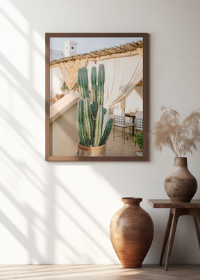 Rooftop Cactus | Morocco Travel Photography Poster