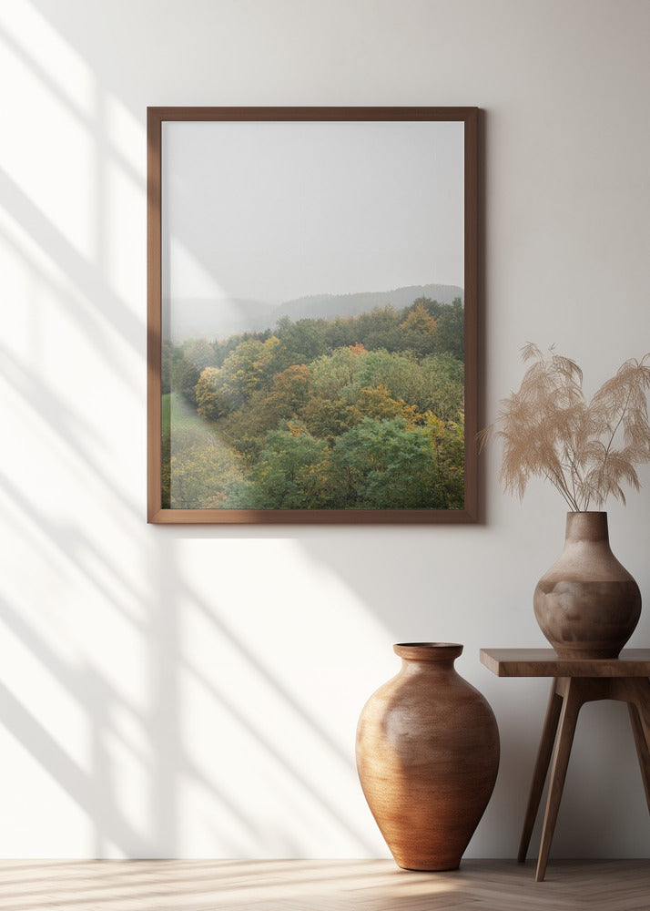 Autumn Forest Canopy | Serene Landscape Photography Poster