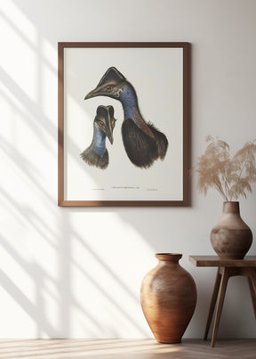 Bennett&#039;s Cassowary Blue Poster