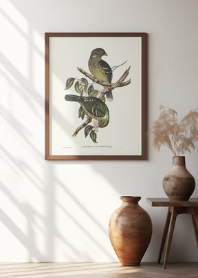 Cat Bird Poster