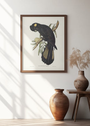 Funereal Cockatoo Poster