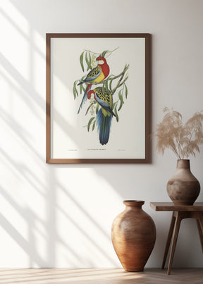 Rose Hill Parakeet Poster