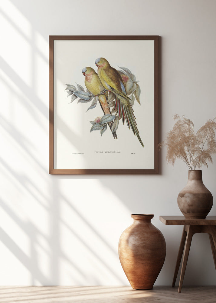 The Princess of Wales&#039;s Parakeet Poster