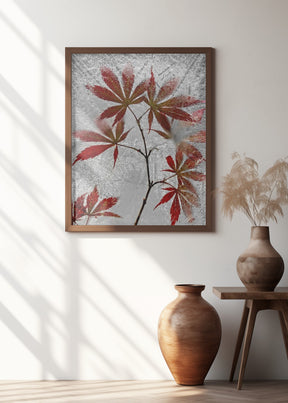 red maple Poster