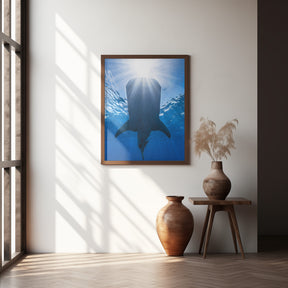 Whale shark and sun Poster