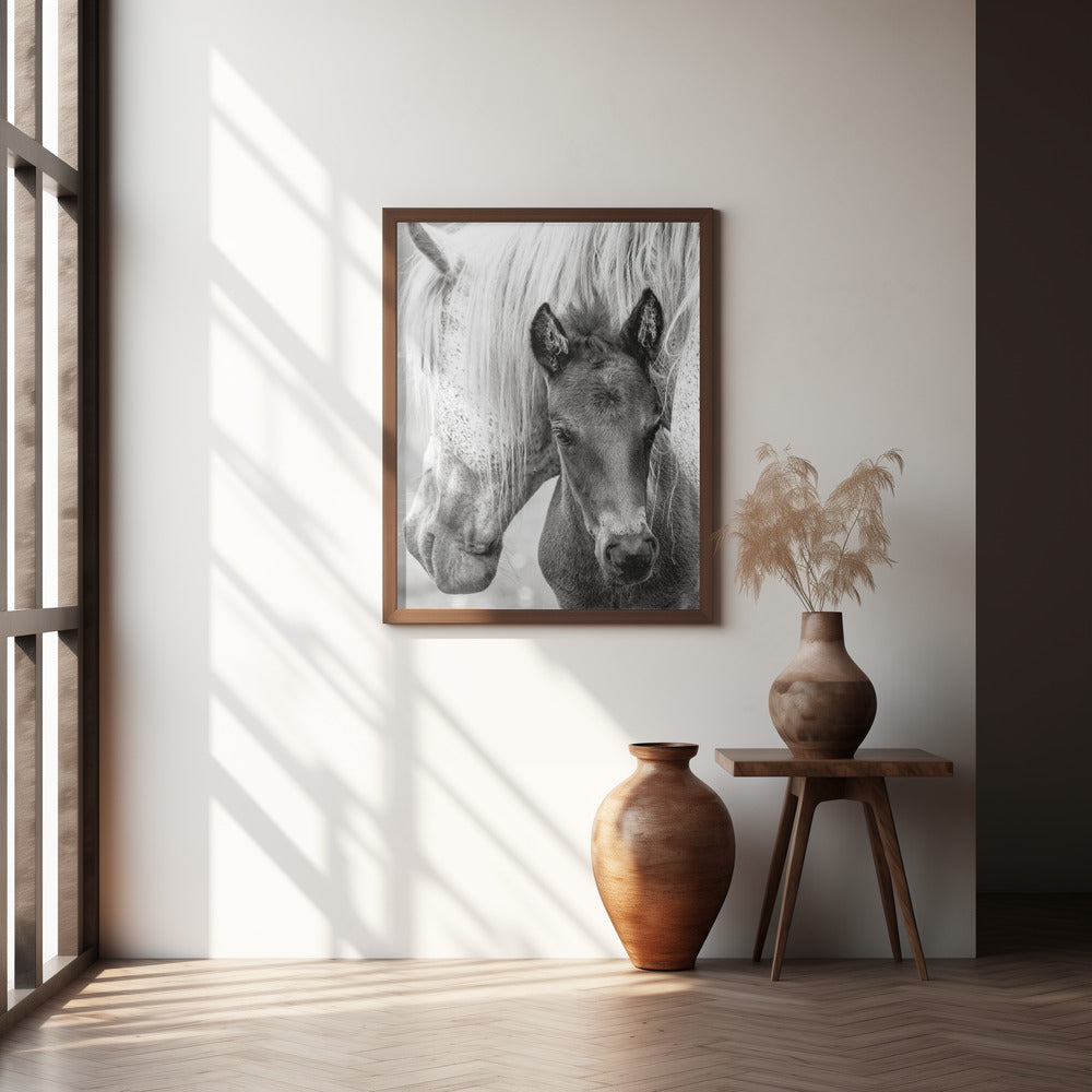 The Foal Poster