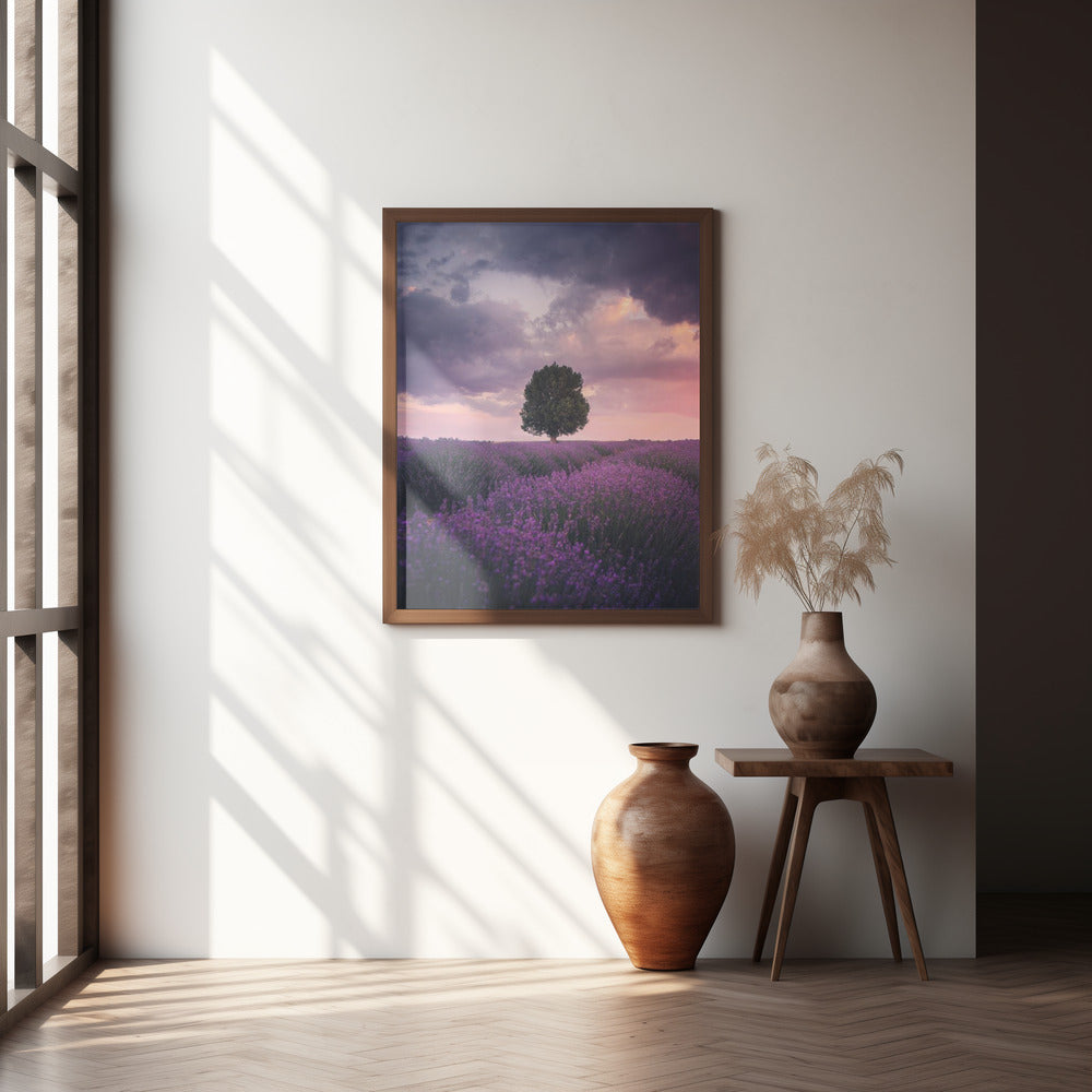 Lavender Fields, Isparta Poster