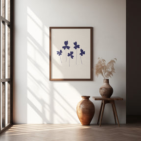 Blue Sorrel Poster