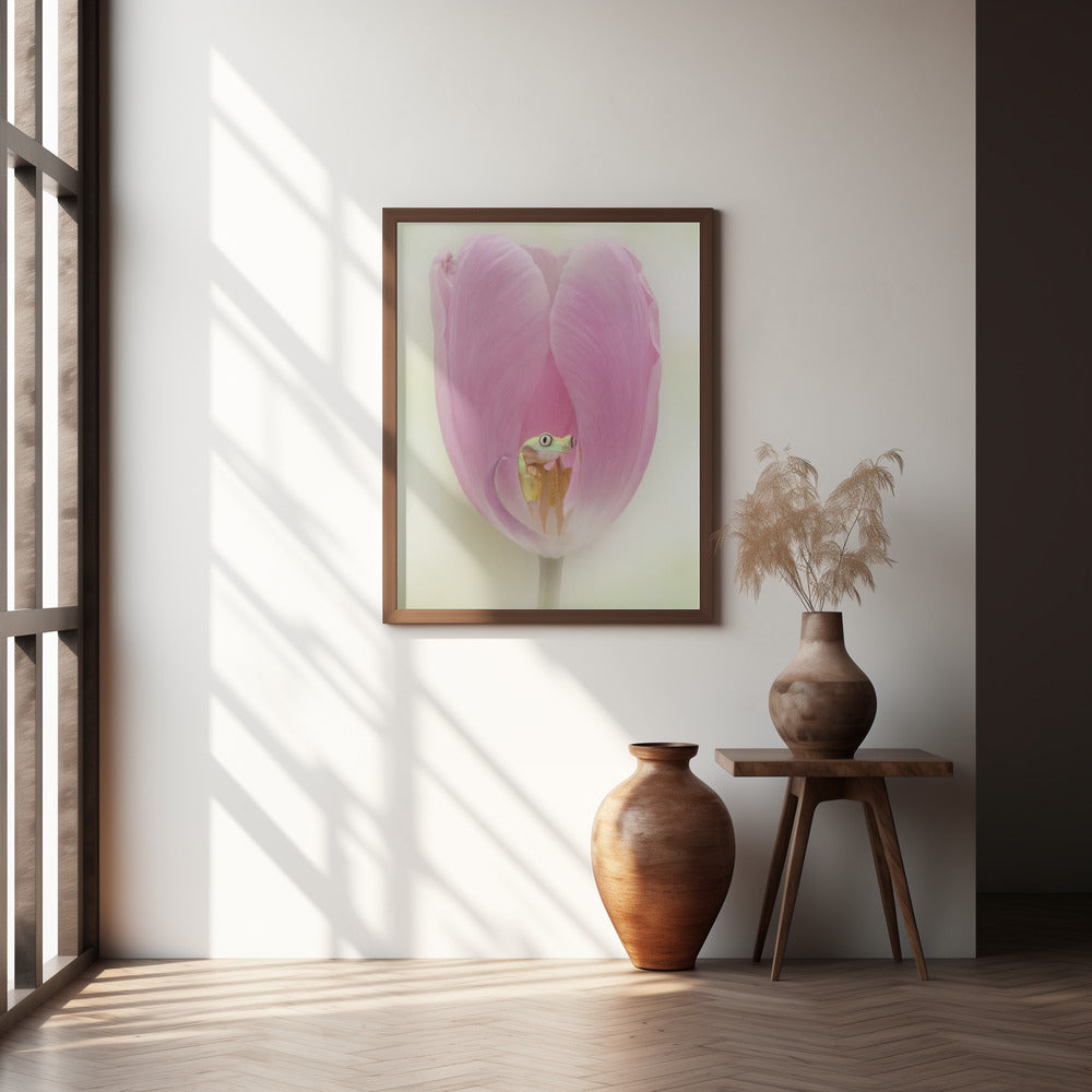 The Lemur Tree Frog and the Pink Tulip Poster