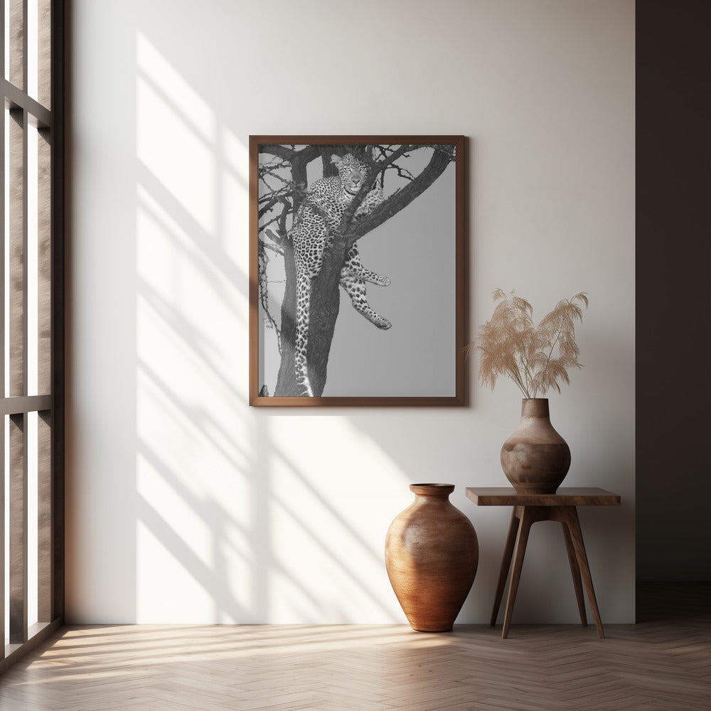 Rest On The Tree Poster