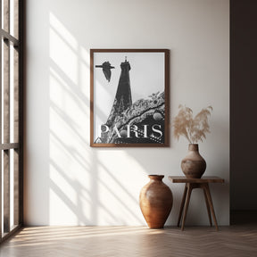 Paris Dove Poster