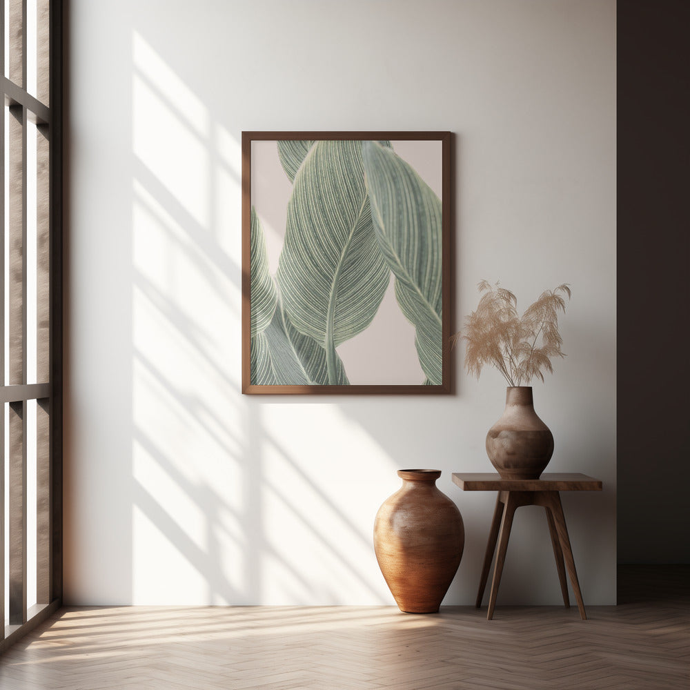 Calla Leaf Poster