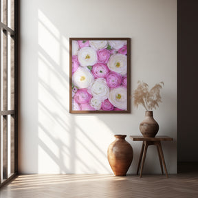 Scattered ranunculus in pink II Poster