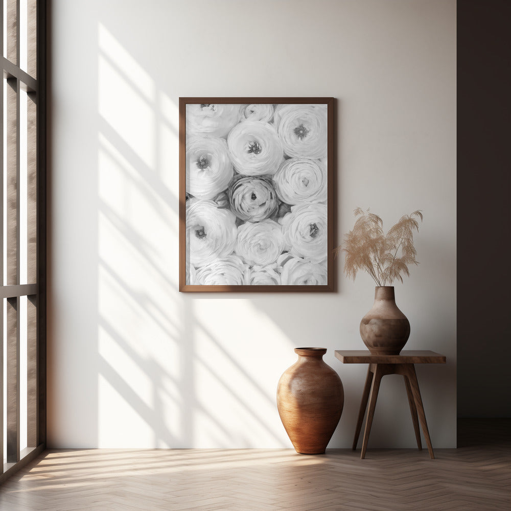 Singular ranunculus gray Poster