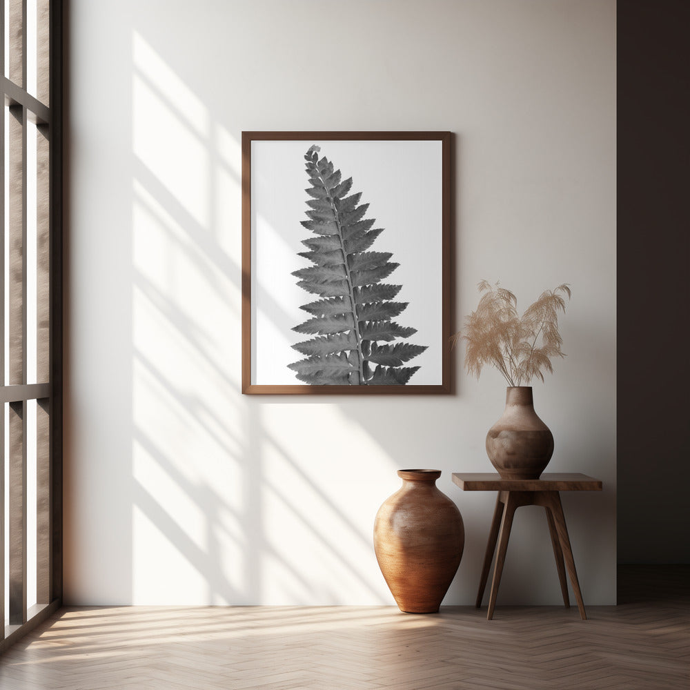 Gray fern leaf Poster