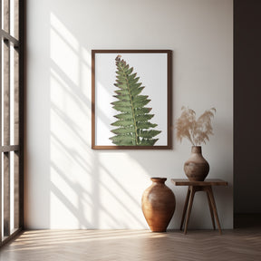 Green fern Poster