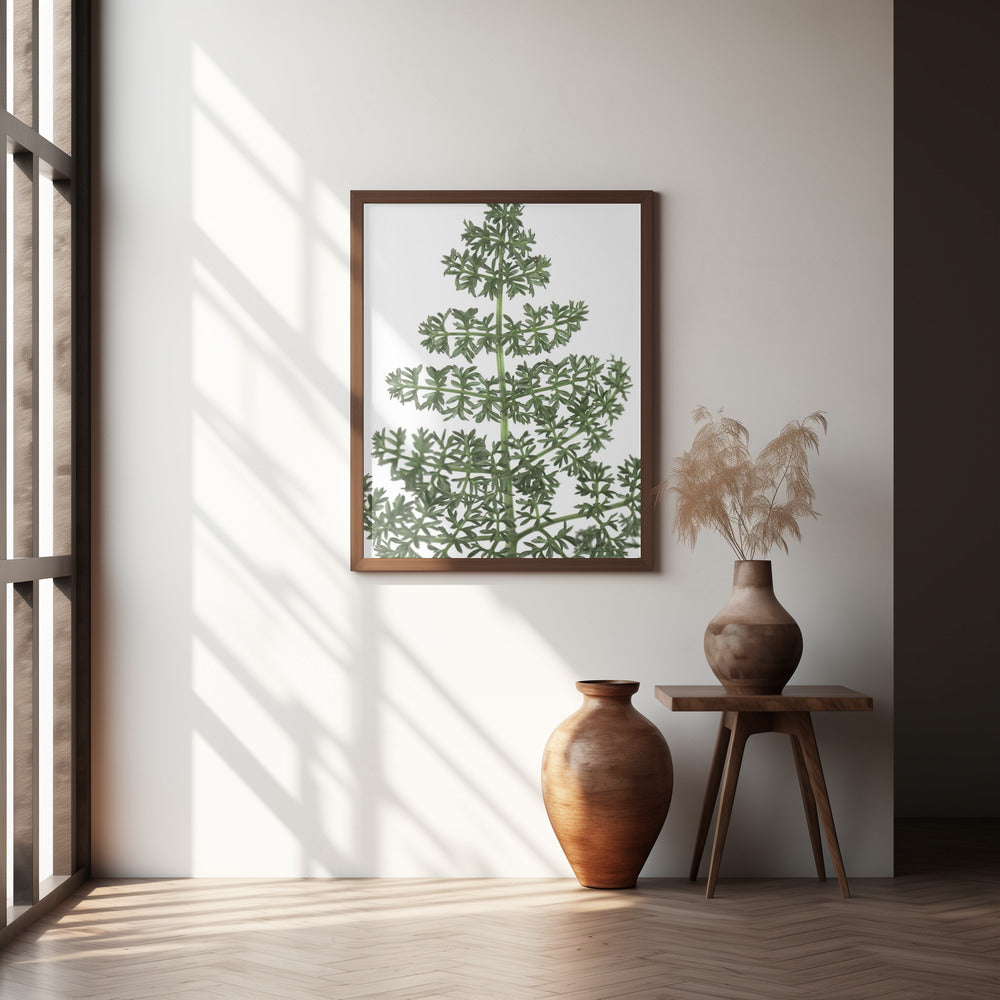 Green dainty leaves Poster