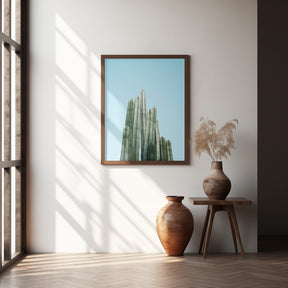 Cacti Poster