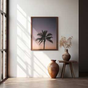 Costa Rica Palm Tree Poster