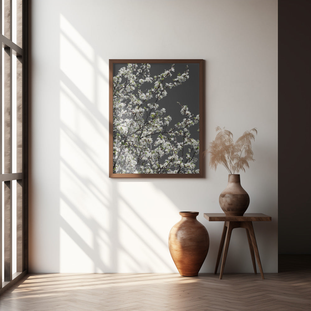 Spring branches Poster