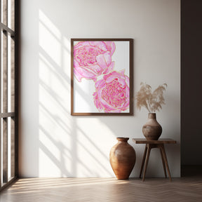 Sally's peonies Poster