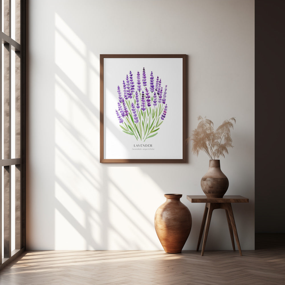 Lavender I Poster