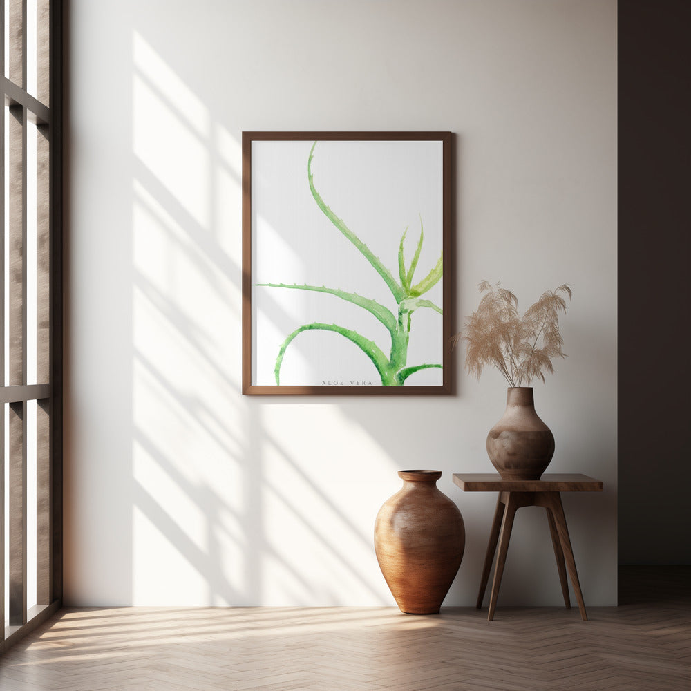 Watercolor aloe vera Poster