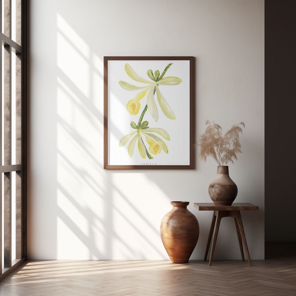 Watercolor vanilla orchid Poster