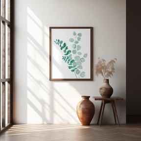 Two eucalyptus branches Poster