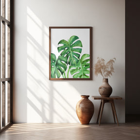 Monstera leaves in loose watercolor Poster