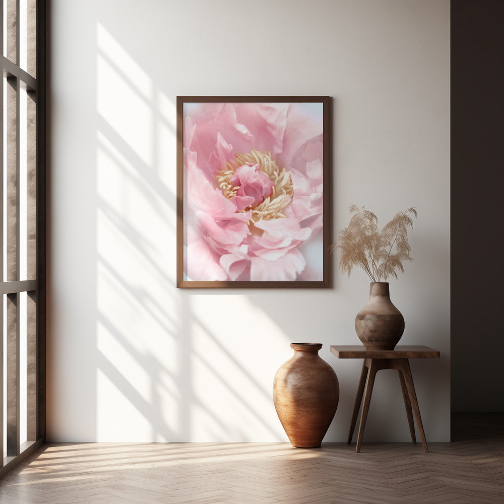 Blush peony I Poster