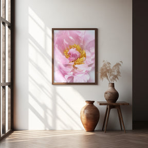 Pink peony I Poster