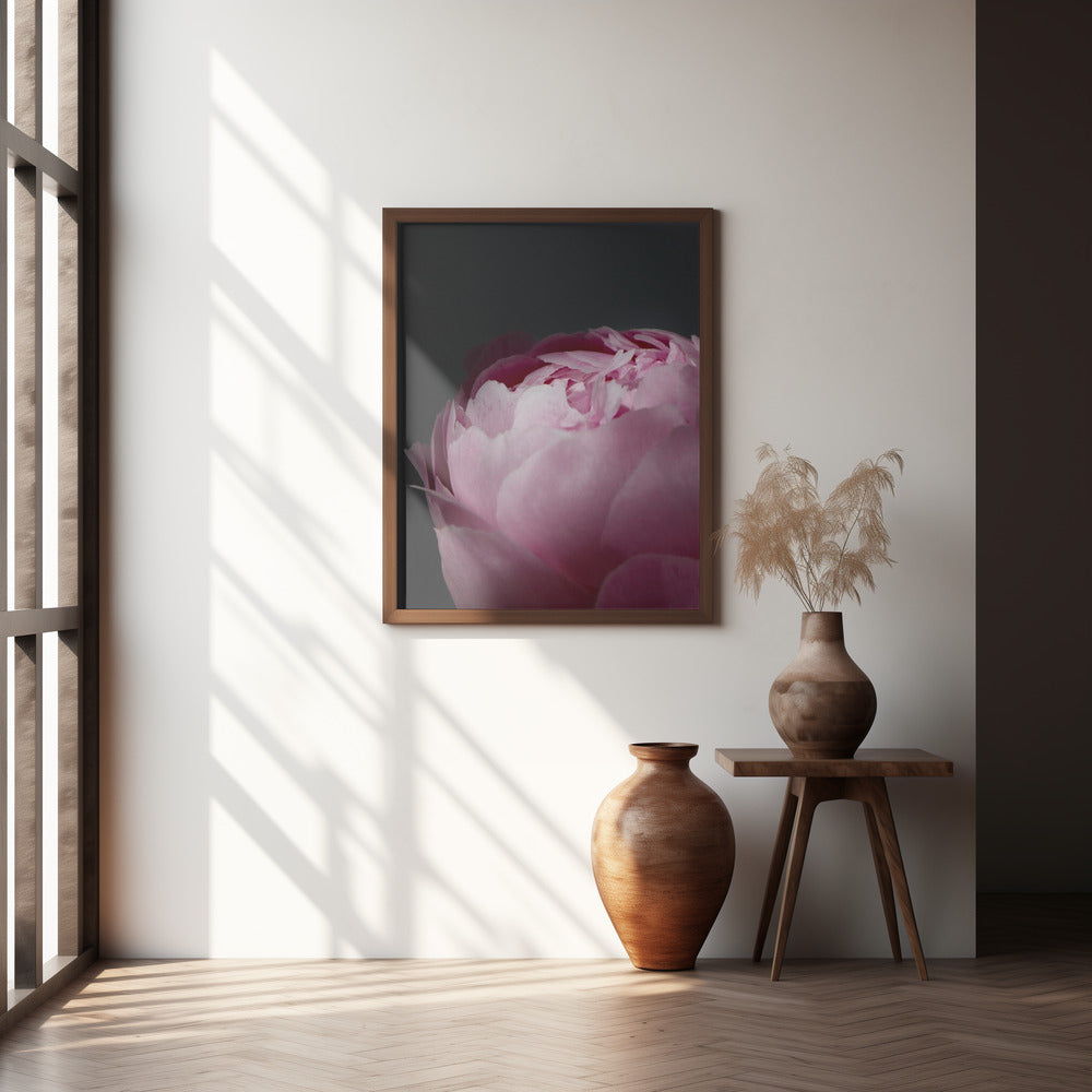 Moody pink peony II Poster