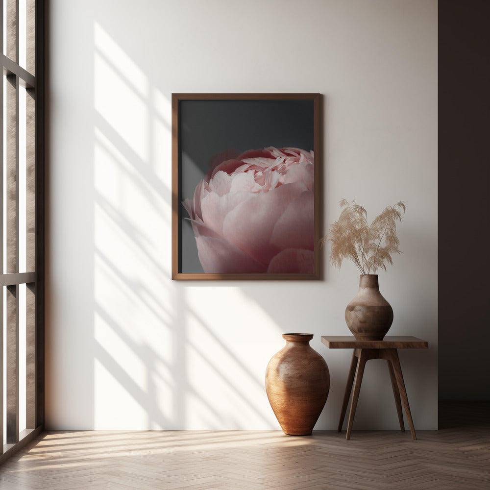 Moody blush peony II Poster