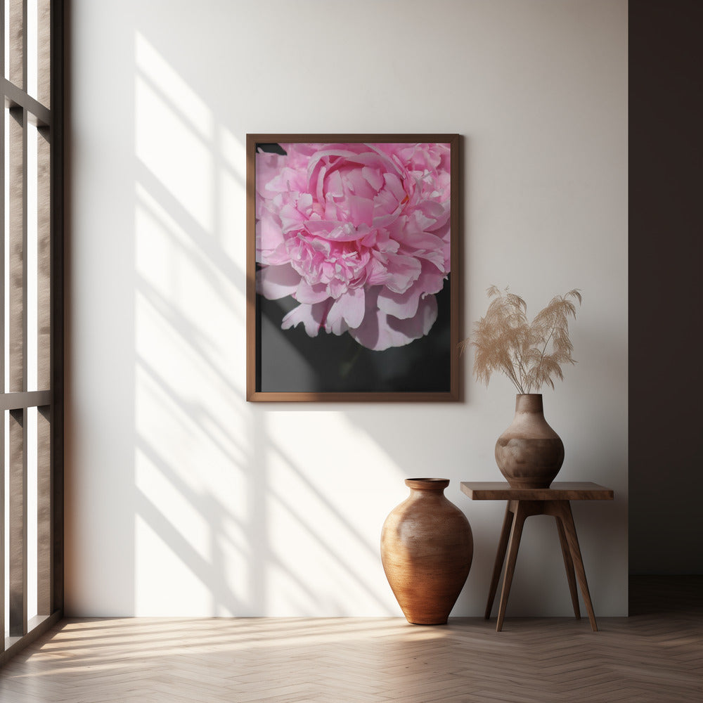 Pink peony V Poster